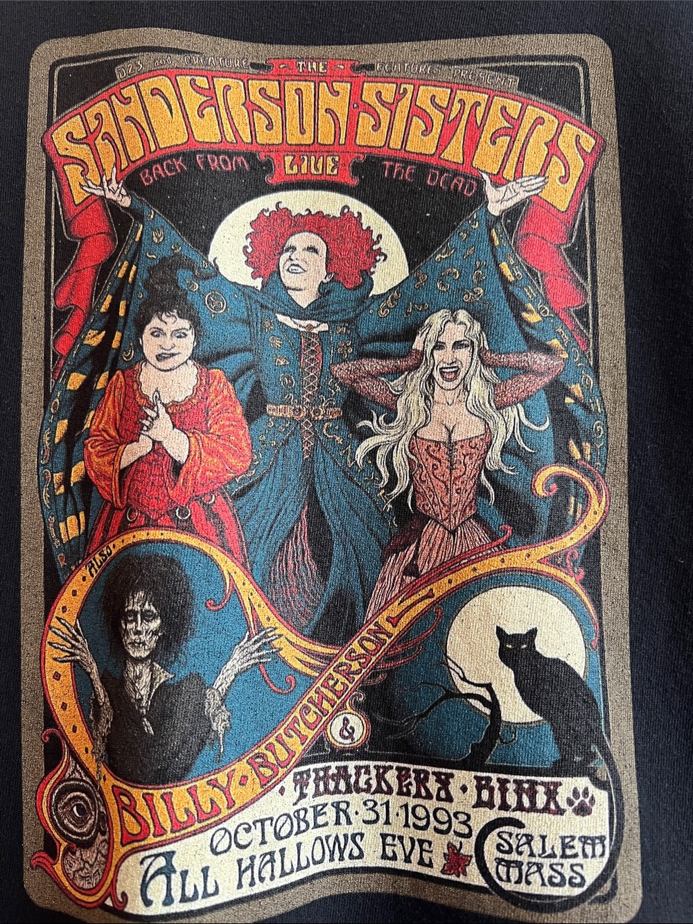Hocus Pocus Sanderson Sisters Black Short Sleeve Raw Hem T-Shirt, Youth XL/Small